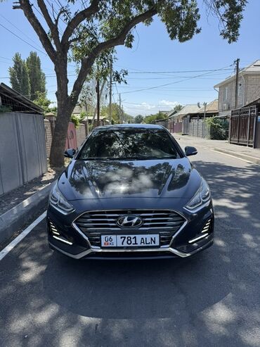 машина суйроо: Hyundai Sonata: 2017 г., 2 л, Типтроник, Газ, Седан