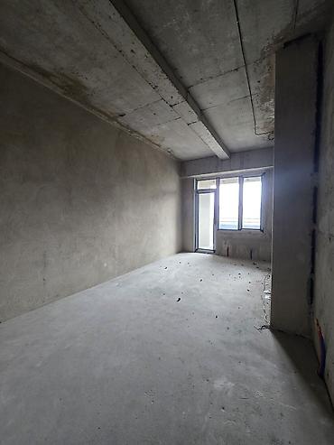 1комнатную: 1 комната, 63 м², Дворец спорта Элитка, 10 этаж, ПСО (под самоотделку) — 3