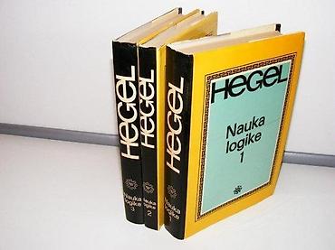 ski pantalone devojcice: NAUKA LOGIKE 1-3 Georg Vilhelm Fridrih HegelBigz Beograd, 1978. 266 — 1