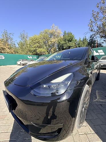 byd han ev: Tesla Model Y: 2023 г., 1.5 л, Автомат, Электромобиль, Седан — 1