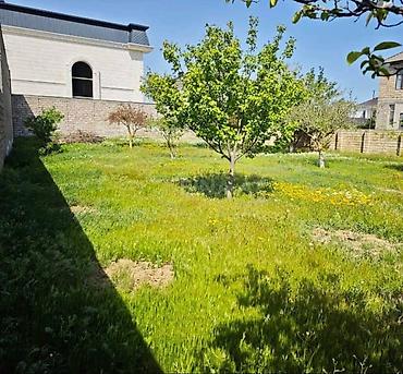 Torpaq: 8 sot, Makler, Kupça (Çıxarış) — 3