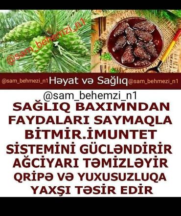ag tut behmezinin faydalari: ŞAM QOZA BƏHMƏZİ 800gr. Metrolara pulsuz çatdırılma . Instagram