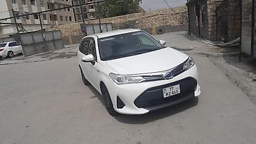 fielder: Toyota Corolla Fielder Hybrid, ağ rəng, universał kuzov. Texniki — 5