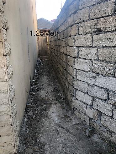 nzs: 1 sot, Tikinti, Mülkiyyətçi, Bələdiyyə — 2