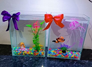 аквариум с рыбками цена бишкек: 💥ИДЕИ на ПОДАРОК !!!🎁 Готовые Нано аквариумы на любые мероприятия с