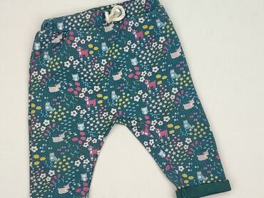sandały sznurowane ccc: Legginsy, Next, 9-12 miesięcy, stan - Idealny