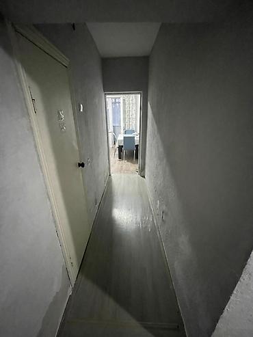 Долгосрочная аренда квартир: 1 комната — 12