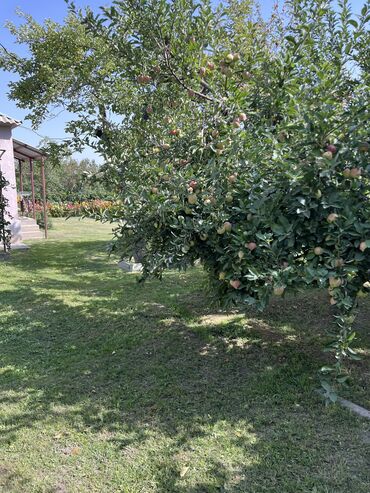 Продажа домов: Дача, 10 м², 6 комнат, Собственник, Старый ремонт — 14