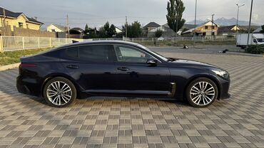 наклейки для автомобиля: Kia : 2019 г., 2 л, Автоматические, Бензин, Хэтчбэк