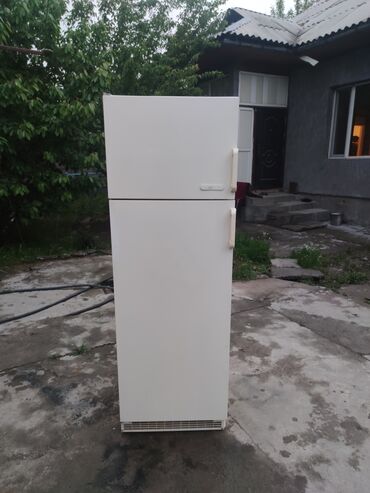 Холодильники: Холодильник AEG, Б/у, Двухкамерный, De frost (капельный), 55 * 165 * 55