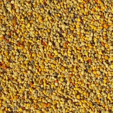 Bal: Arı südü, arı məhsulları 10g 40₼ — 4