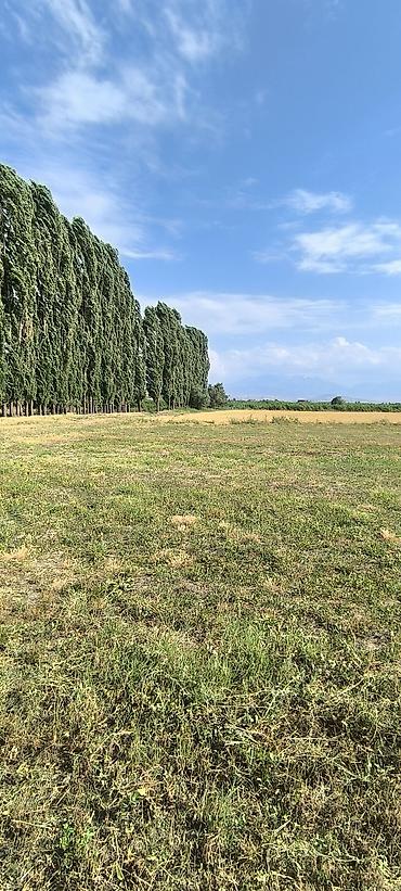 Продажа участков: 100 соток, Для сельского хозяйства — 3