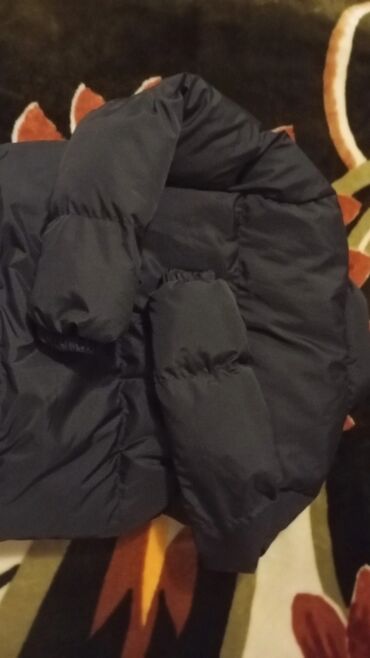 Kurtkalar: Kurtka, Bolonka, Qış, Lacoste, S — 6