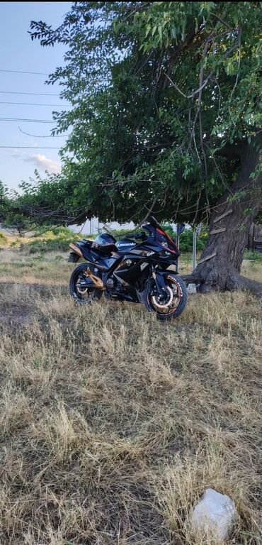 Kawasaki - NİNJA, 380 sm3, 2820 km