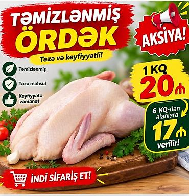 kalduk ordək: 🦆🏡 ÖZ HƏYƏTİMİZDƏ YETİŞDİRİLMİŞ LAL ÖRDƏKLƏR SATILIR 📅 Yaşı: maksimum — 1