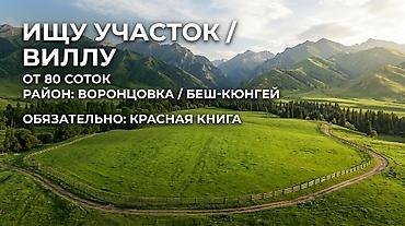 карагачевая роща: Площадь: от 80 соток ​📍 Локация: Воронцовка / Беш-Кюнгей ​📄 Документы — 1