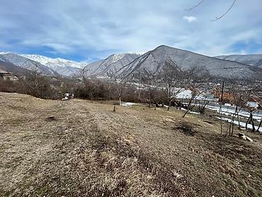 sabirabad torpaq: 7 sot, Mülkiyyətçi, Kupça (Çıxarış), Bələdiyyə — 7