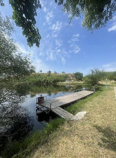 archa group: 944 соток, Договор купли-продажи, Красная книга, Тех паспорт — 4