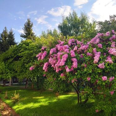 Иссык-Куль 2025: Коттедж, 35/3, 4-комнатный ЦО Радуга West, Кош-Кол, Детская площадка, Парковка, стоянка, Охраняемая территория — 19