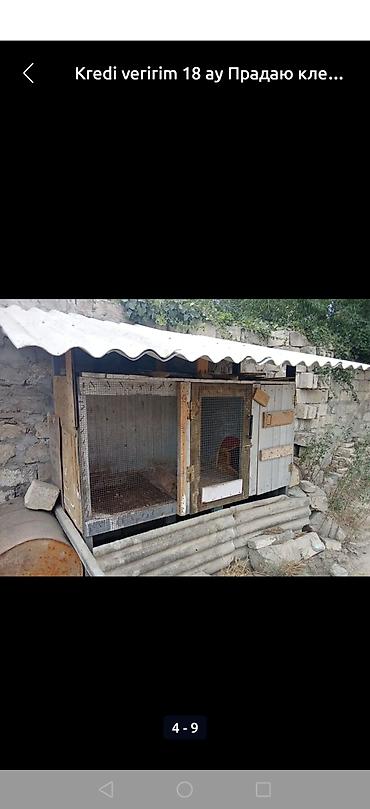 большая клетка для кролика: Satıram kredit mümkündür dəyişmək olar — 4