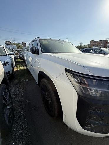 team terzo: Volkswagen : 2026 г., Автомат, Бензин, Кроссовер — 5