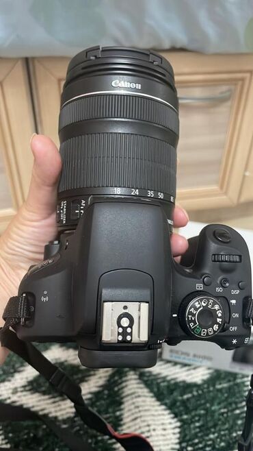 кролики каракол: Canon EOS 800D состояние почти новое пользовался очень бережно пробег