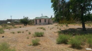 Torpaq sahələrinin satışı: 200 sot, Tikinti, Makler, Kupça (Çıxarış) -da lalafo.az — 24 Torpaq sahələrinin satışı: 200 sot, Tikinti, Makler, Kupça (Çıxarış) — 24