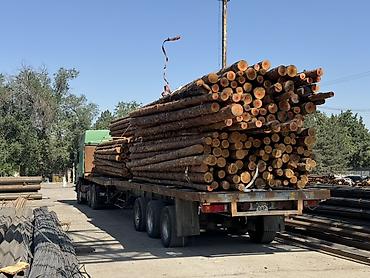 Лес кругляк: Всегда свежий! Продаем кругляк, кругляки сорт сосна, диаметр от 10 см — 1