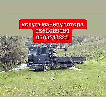 лоферы 35: Стрела 9 м, 3 т, Борт 10000 кг — 1