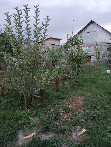 снять дом в маевке: Дом, 44 м², 3 комнаты, Собственник, Старый ремонт