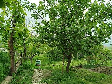 imislidə ev satilir: Şamaxı rayonu Mədrəsə qəsəbəsində gözəl sakit qarşısı dağlara açılan — 8