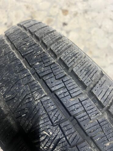 купить резину на газ 53 новую: Шиналар 195 / 55 / R 15, Кыш, Колдонулган, Кытай, Kapsen