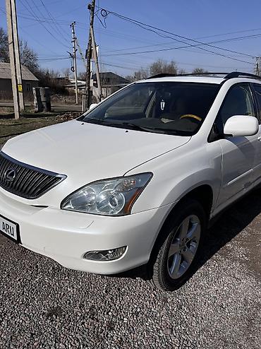 Lexus: Lexus RX: 2003 г., 3.3 л, Автомат, Бензин — 1