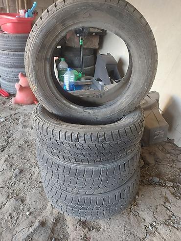 Шины 175 / 65 / R 15, Зима, Б/у, Комплект, Легковые, Япония, Dunlop