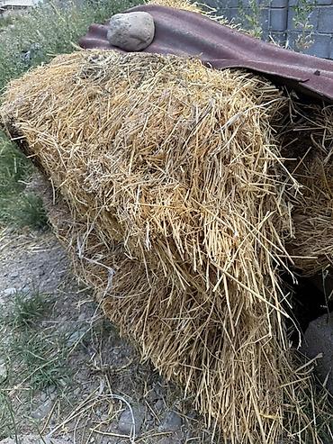 упаков: Саман сатылат Бишкек 4тук бар 140сом Тюк соломы Таксиден салып — 2