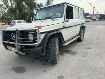 Mercedes-Benz: Mercedes-Benz : 1989 г., 3 л, Механика, Дизель, Внедорожник