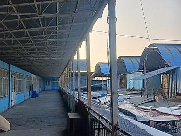 Другое для крыш: "Келечек базары көчүрүлүп жатканына байланыштуу, Чатырын сатууга — 6