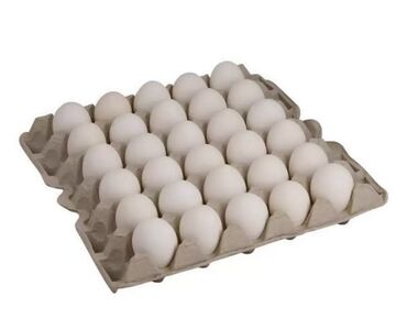 яйца бройлера в бишкеке: 14.000 яиц оптом ! Доставка есть!