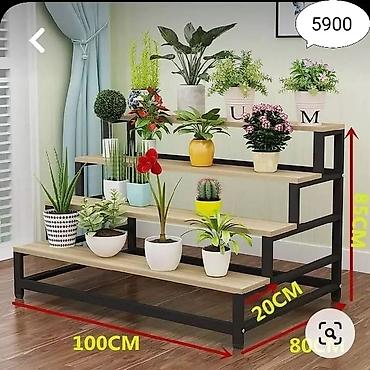 Тележки-органайзеры на колесах: Этажерки/стеллажи для комнатных растений - Дизайн: современные — 21