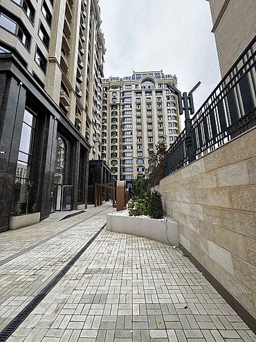 central park: Студия, 61 м², Элитка, 3 этаж, Евроремонт — 7