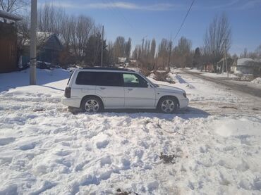 машина за 100000 сом: Subaru Forester: 1999 г., 2.5 л, Автомат, Бензин, Кроссовер