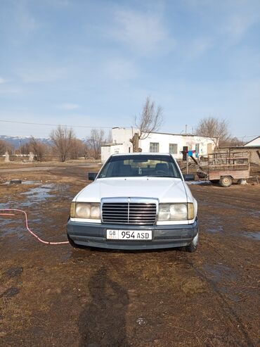 Mercedes-Benz: Mercedes-Benz W124: 1988 г., 2.5 л, Автомат, Дизель, Седан