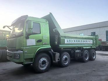 шахман фура: Доступен для немедленной продажи! Самосвал Shaanxi Automobile — 4