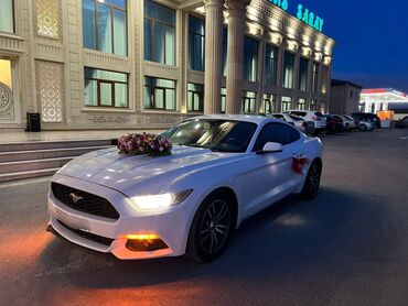 Digər avto xidmətlər: Ford mustang 2018 toy nişan və digər tədbirlər üçün sifariş edə — 8