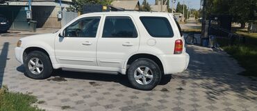 гольф 3 вариянт: Ford Escape: 2005 г., 2.3 л, Механика, Бензин, Кроссовер