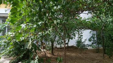 Yeni tikili: 2 otaqlı, Yeni tikili, m. Həzi Aslanov, 71 kv. m -da lalafo.az — 20 Yeni tikili: 2 otaqlı, Yeni tikili, m. Həzi Aslanov, 71 kv. m — 20