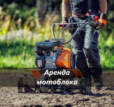 мотоблок прокат: Аренда мотоблока мотоблок в аренду мотоблок аренда мотоблок напрокат