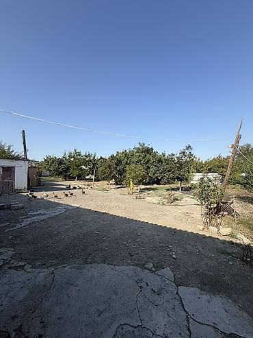Torpaq sahələrinin satışı: 25 sot, Tikinti, Mülkiyyətçi, Kupça (Çıxarış) — 18