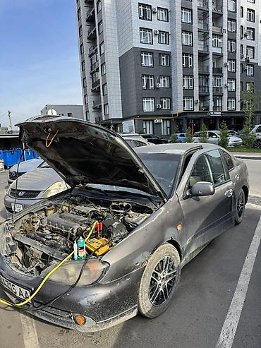 ниссан сильвия с15: Nissan Primera: 2000 г., 2 л, Механика, Бензин, Седан — 9