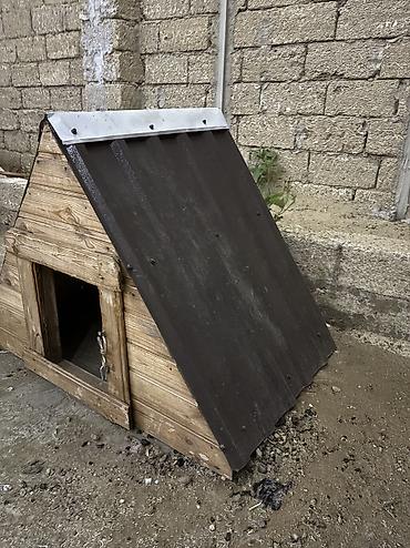 satılan itler: A frame it yuvası çox keyfiyətli istiyə və soyuğa davamlı penoplas və — 2